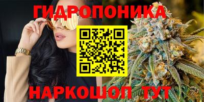 бошки Донецк