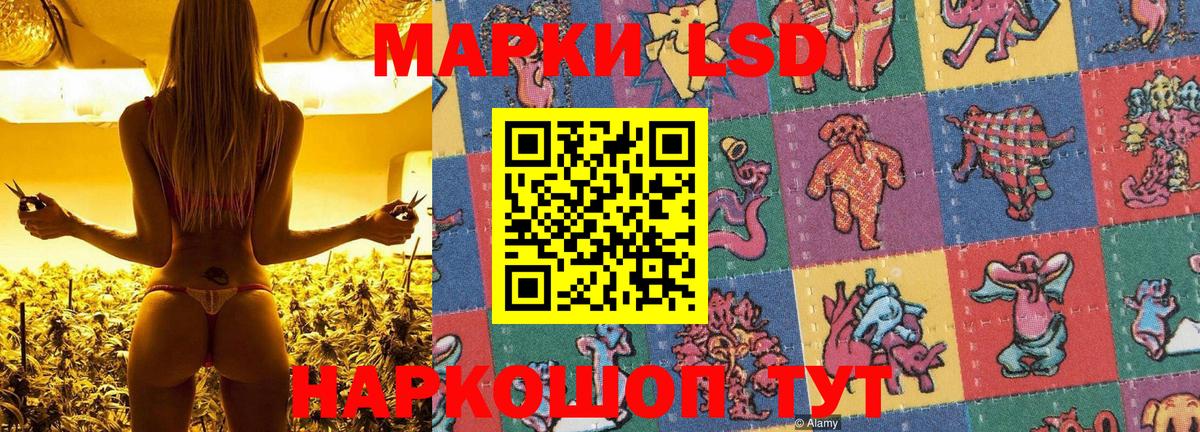 Мытищи  Марки N-bome 1,5мг  Вход с VPN 