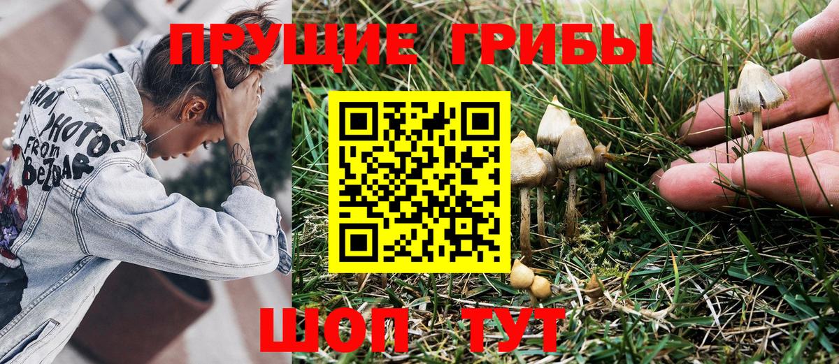 Псилоцибиновые грибы Psilocybine cubensis Мытищи